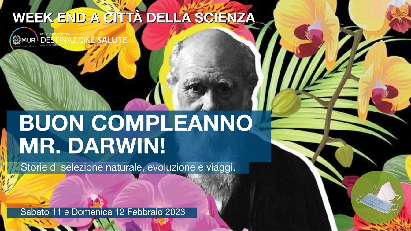 Amante Della Scienza Regalo Divertente Quantistica Fisica Maglietta Amante Della Scienza Regalo Divertente Quantistica Fisica Maglietta